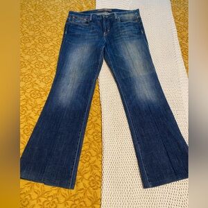 Joe's The Provocateur Jeans